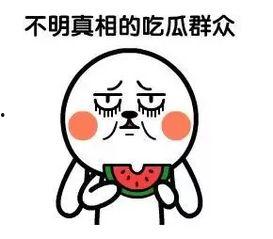 吃瓜群众网络用语,揭秘娱乐圈那些事儿